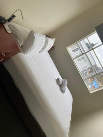 Knickerbocker Hotel Bathurst Eksteriør bilde